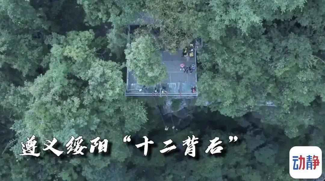 东营市垦利区在河南郑州成功举办黄河口农品推介会